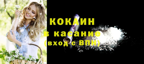 мдпв Козельск