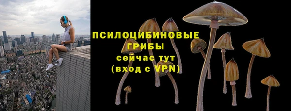 мдпв Козельск
