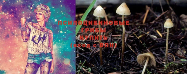 mix Козловка