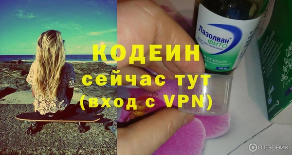 мдпв Козельск