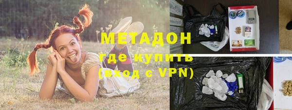 шишки Коряжма