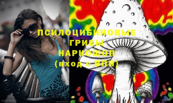 mix Козловка